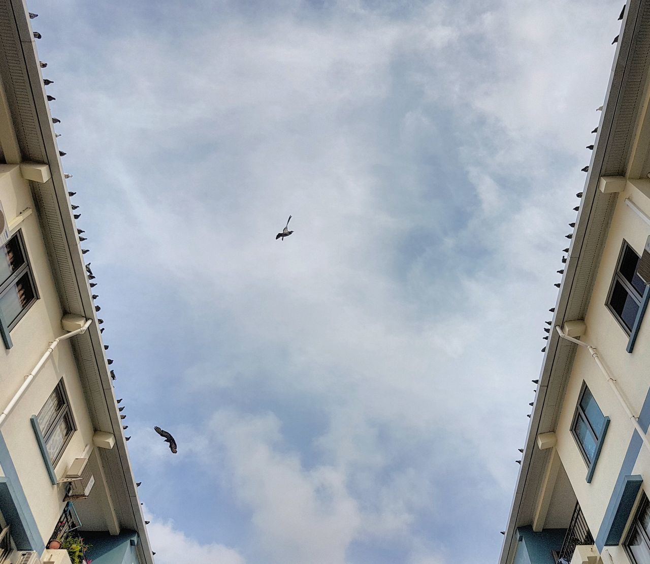 LOW ANGLE VIEW OF AIRPLANE FLYING OVER BUILDINGS AGAINST SKY