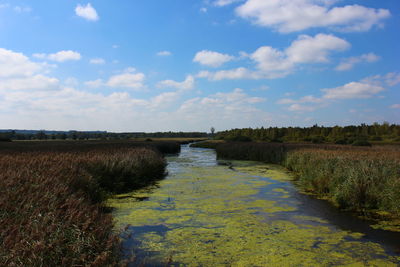 Scenic view of river against cloudy sky