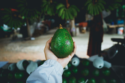 Cropped image of hand holding fruit at market