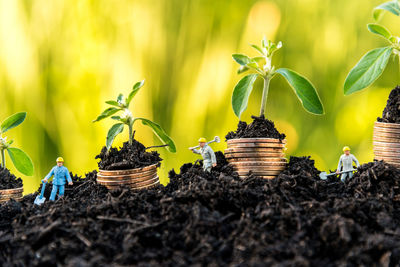 Figurines working by plants and coins on dirt