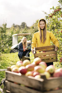 Two women harvesting apples in orchard