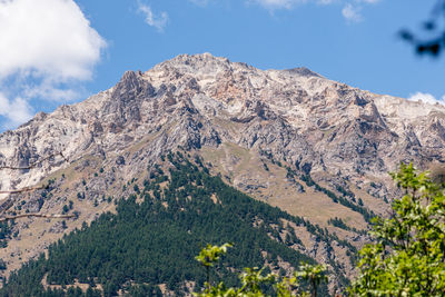View of the italian french alps between italy and france with fir trees forest and blue sky