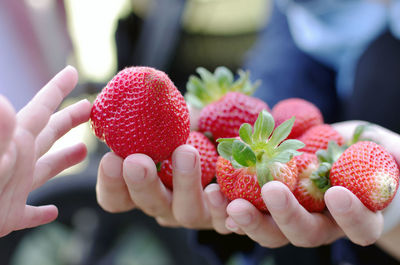 Close-up of hand holding strawberries