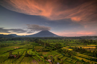 Scenic view of agricultural field against sky during sunset