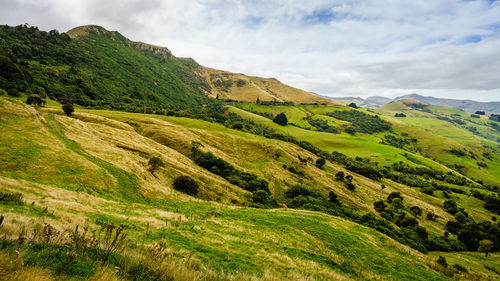 Scenic view of green landscape against sky