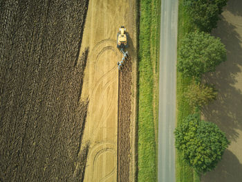 High angle view of agricultural field