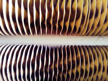 Full frame shot of spiral metal