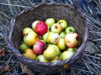 High angle view of apples in wicker basket