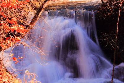 Close-up of waterfall in forest