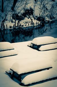 Close-up of snow covered tree