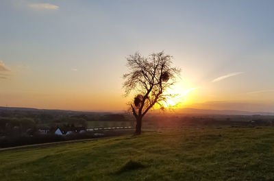 Scenic view of landscape against sky during sunset