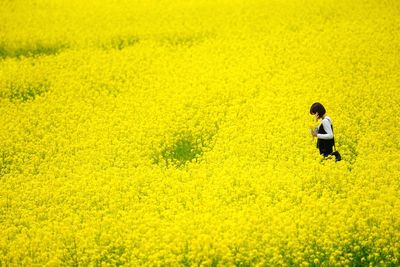 Rear view of woman in field