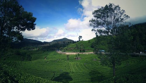 Scenic view of landscape against sky