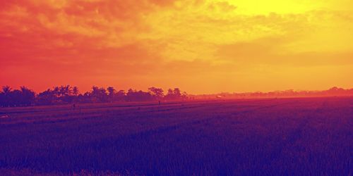 Scenic view of field against sky during sunset