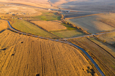 Aerial drone view of grain fields, wheat during golden sunset. agricultural pattern