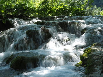 Scenic view of waterfall in forest