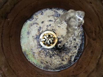 High angle view of person in bowl at home