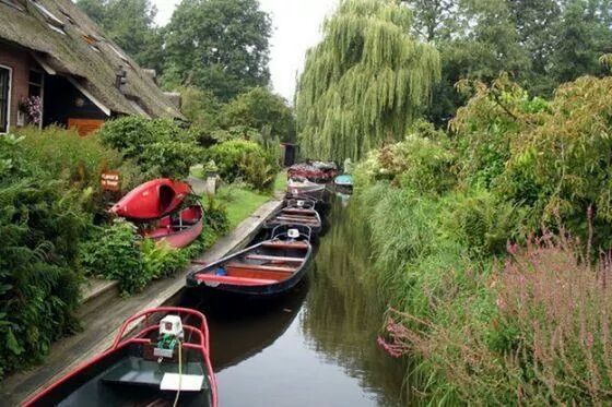 transportation, mode of transport, nautical vessel, boat, water, tree, moored, canal, river, waterfront, travel, built structure, reflection, architecture, nature, green color, sailing, growth, outdoors, day