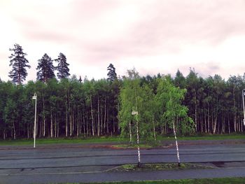 Trees growing on field against sky