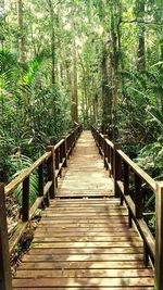 Wooden footbridge in forest