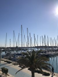 Sailboats moored at harbor against clear sky