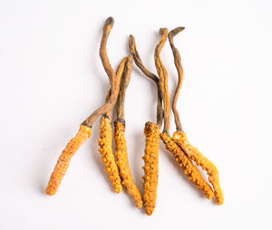 High angle view of rope on white background