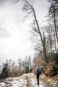 Rear view of man walking on snow covered landscape
