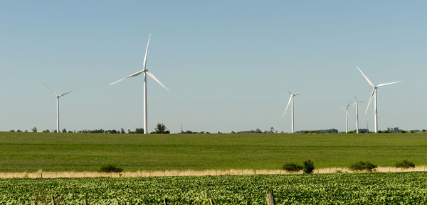 Landscape of energy efficient wind turbine at the countryside near tarariras, colonia