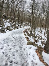 Scenic view of snow covered landscape