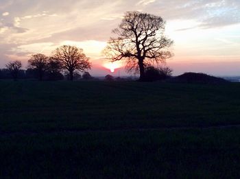 Silhouette of trees on landscape at sunset