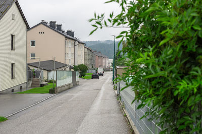 Footpath amidst trees against sky