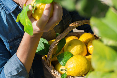 Midsection of man holding lemon outdoors