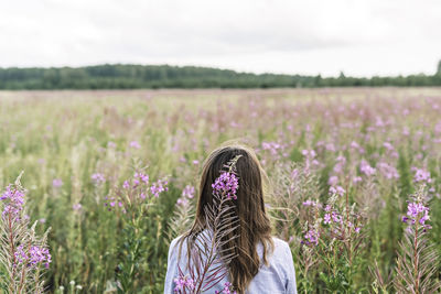 Purple flower of fireweed close-up on background of blond hair of woman in purple shirt on meadow