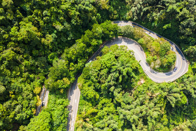 Aerial view of road amidst trees in forest