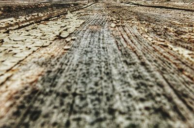 Full frame shot of wood