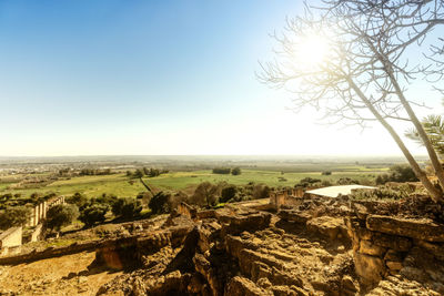 Scenic view of landscape against clear sky