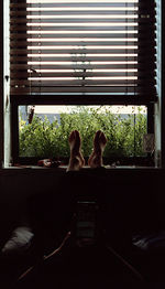 Rear view of couple sitting on glass window