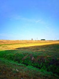 Scenic view of field against blue sky