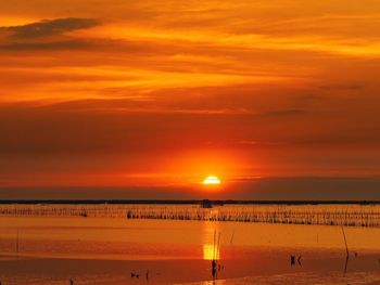 Silhouette of beautiful beach during sunset on the sea at bang sean,chonburi,thailand.