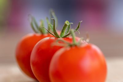 Close-up of tomatoes