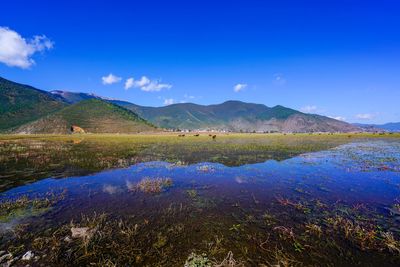 Scenic view of landscape and mountains against blue sky