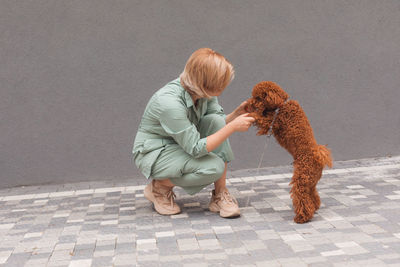 Rear view of woman with dog at night