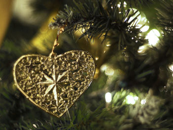 Close-up of heart shape hanging on tree