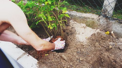 Low section of woman on plants