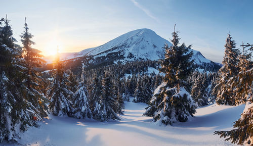 Majestic petros mountain illuminated by sunlight. magical winter landscape