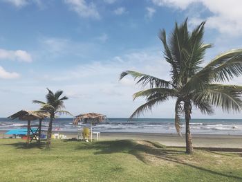 Palm trees on beach against sky