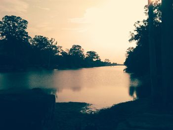 Reflection of trees in water at sunset