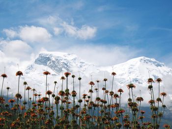 Scenic view of snowcapped mountains against sky