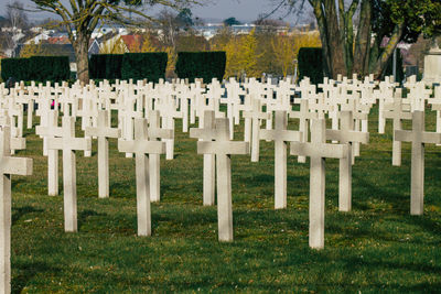 View of cemetery