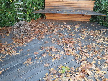 High angle view of autumn leaves on bench in park